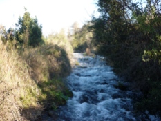 The headwaters of the River Jordan